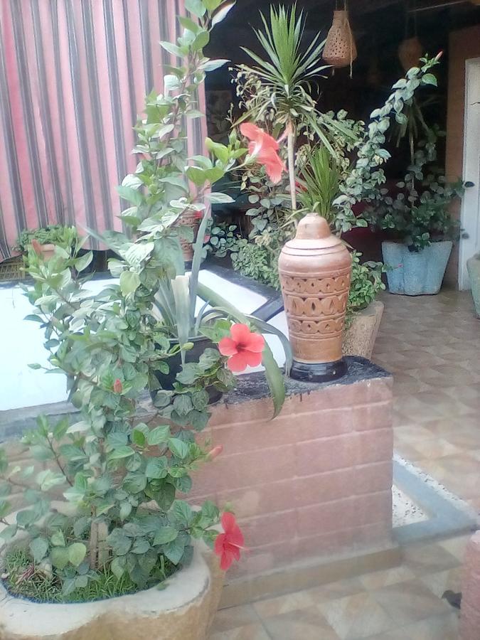 Happy Land Luxor Hostel Exterior photo